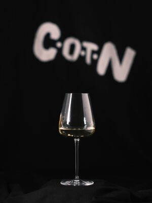 Meravigliosi White Wine Glass Set of 6